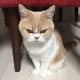 Khyroo