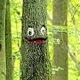 FaJank0