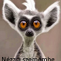 Kékszemü70