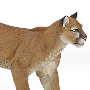 Puma123