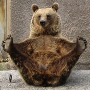 Hunbear