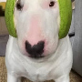 Walter3