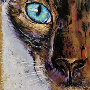 sceater