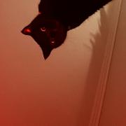 IRiverZ