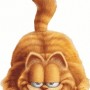 garfieldd