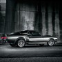 shelby