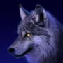 greywolf