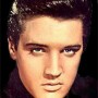 elvis11
