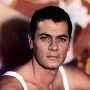 tony curtis
