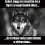 Smartboy