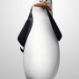 kowalski8 kowalski8