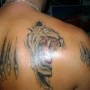 Bad34