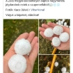  1. kép LINDA  erotikus masszázs XIII. kerület Budapest 305066762