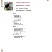  3. kép Zsani  szexpartner VIII. kerület Budapest 304928623