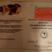  2. kép Harmónia Martina  erotikus masszázs XIV. kerület Budapest 205974347