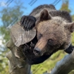 5. kép tesztlinda szexpartner Eger Heves 500000001