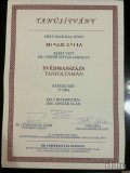 Villő 202381525 profilkép